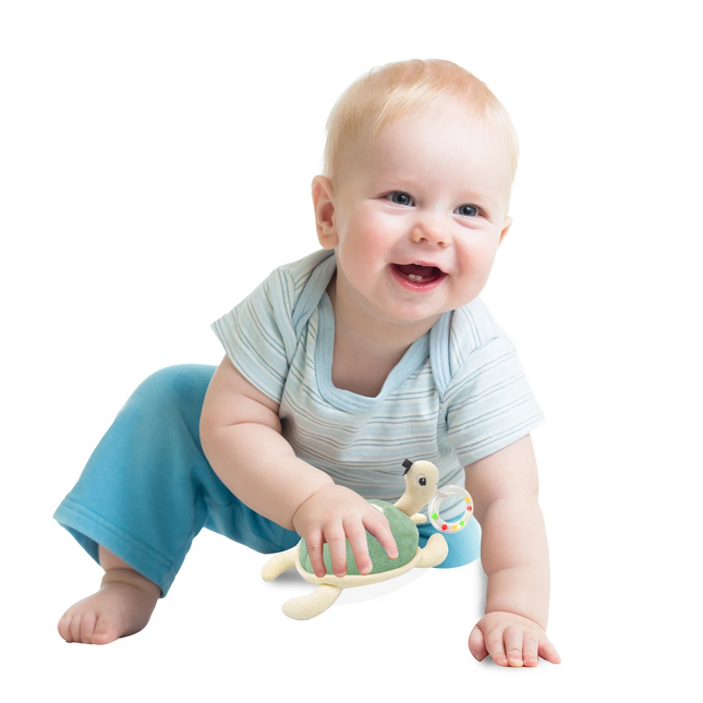 Babyjem Sevimli Yürüme Arkadaşım Çıngıraklı Peluş Kaplumbağa Mint