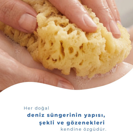 Babyjem Yumuşak Bebek Doğal Deniz Süngeri
