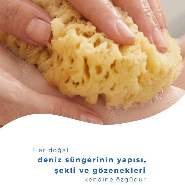 Babyjem Yumuşak Bebek Doğal Deniz Süngeri