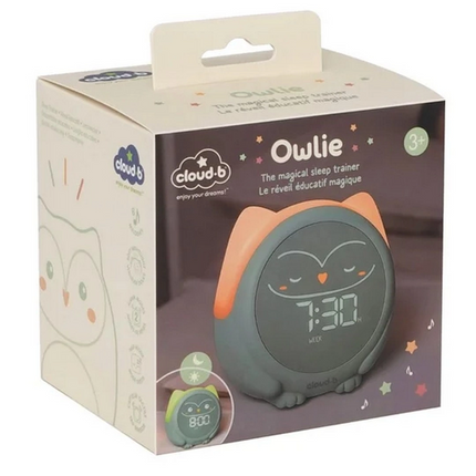 Cloud B Owlie Uyku Eğitmeni