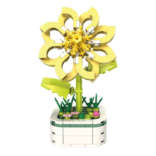 BLX Daisy Bouquet 8816