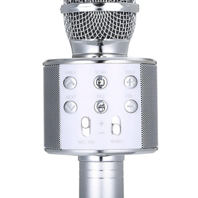 Karaoke Wireless Microphone