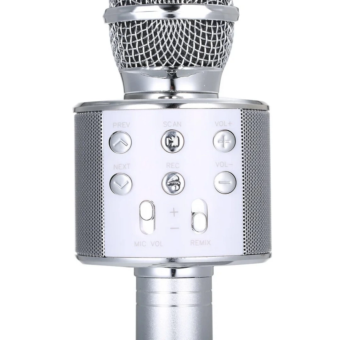 Karaoke Wireless Microphone