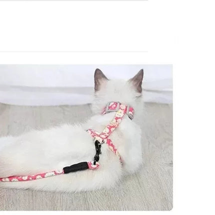 Kedi Gezdirme Göğüs Tasması