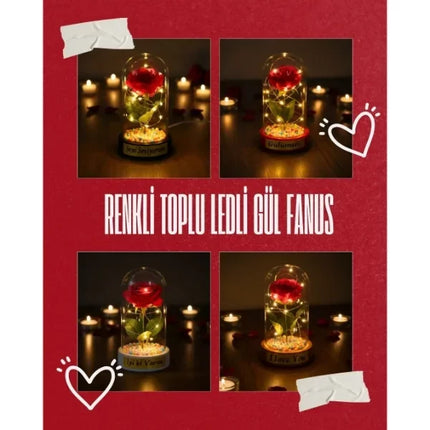 Renkli Toplu Ledli Gül Fanus