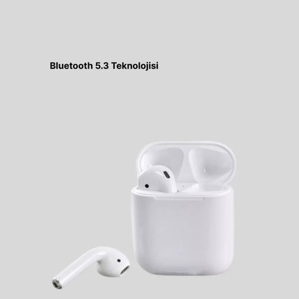 Hızlı Şarj Destekli 2. Nesil Bluetooth 5.0 Ergonomik Kulaklık