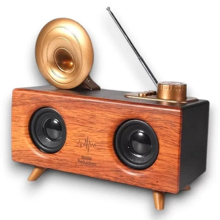 B6 SPEAKER HOPARLÖR