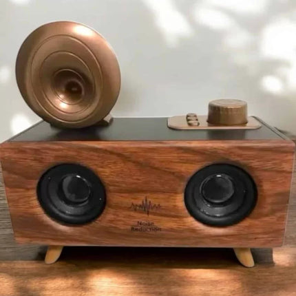 Çalar Radyo Müzik Kutusu Nostaljik Hoparlör Speaker