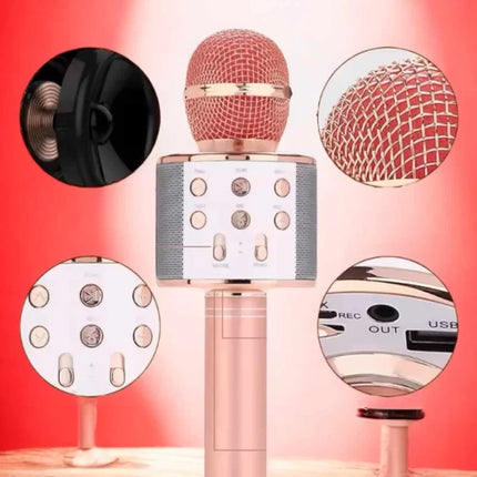 Şarjlı ve Uzun Pil Ömürlü Karaoke Mikrofon USB Bellek Destekli, Profesyonel Ses