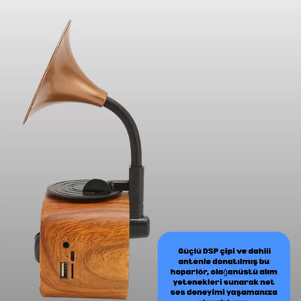 Retro Tasarımlı Mini Bluetooth Hoparlör ve FM Radyo Çoklu Medya Yeni Nesil