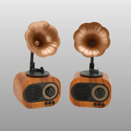 Kablosuz Retro Radyo Hoparlör 5W Güçlü Ses USB Hafıza Kart Destekli Yeni Nesil