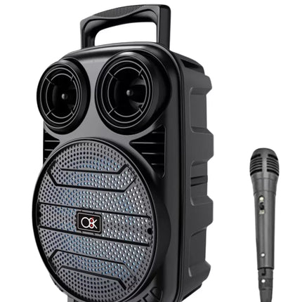 Kablosuz Karaoke Hoparlör Mikrofonlu RGB Işıklı 6.5 İnç Bluetooth Speaker Taşınabilir