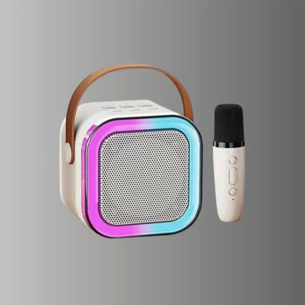 Karaoke Mikrofon Hoparlör Seti 6 Saat Kullanım Süresi Yeni Nesil