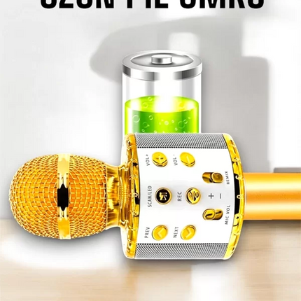 Kablosuz Bluetooth Karaoke Mikrofon USB ve AUX Girişli, Yüksek Ses Kalitesi