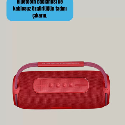 20W Güçlü Ses Çift Sürücülü RGB LED Işıklı Bluetooth 5.3 Hoparlör