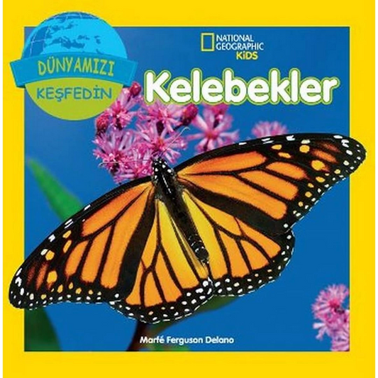Discover Our World of Butterflies