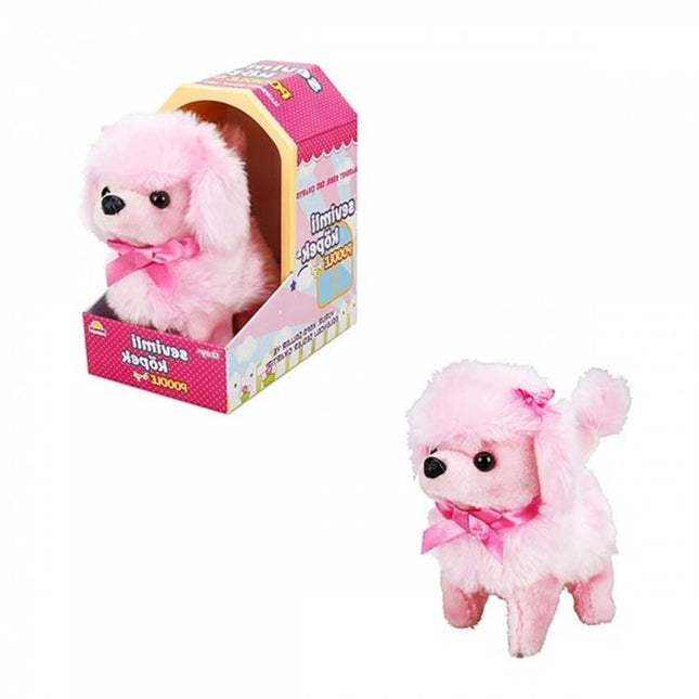Sunman Cute Dog Poodle