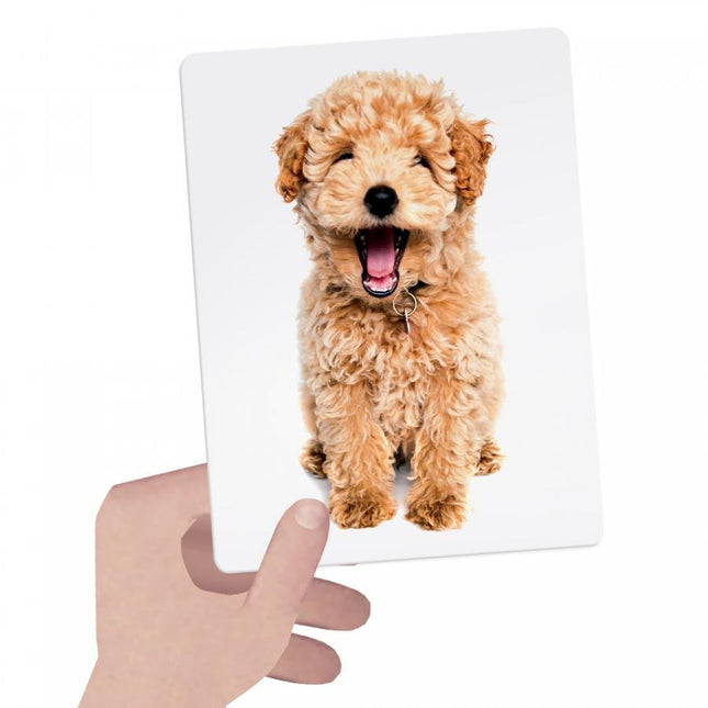 Headu Flashcards Tactile Montessori MU23738