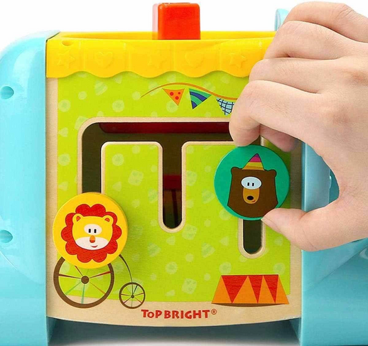 Woody 5 Functional Activity Play Set