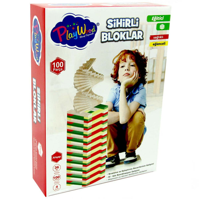 Playwood Educational Magic Blocks 100 Pieces