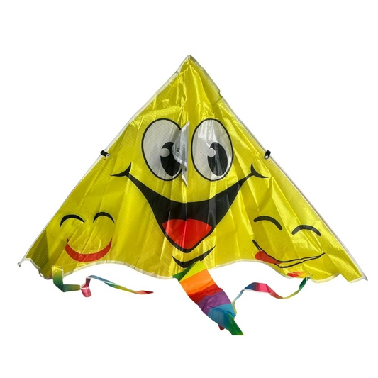 Colorful Kite