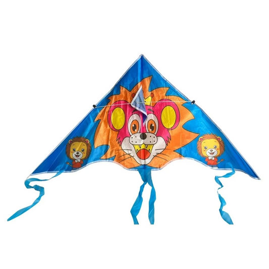 Colorful Kite