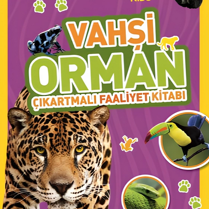 National Geographic Kids Wild Forest Sticker Activity Book