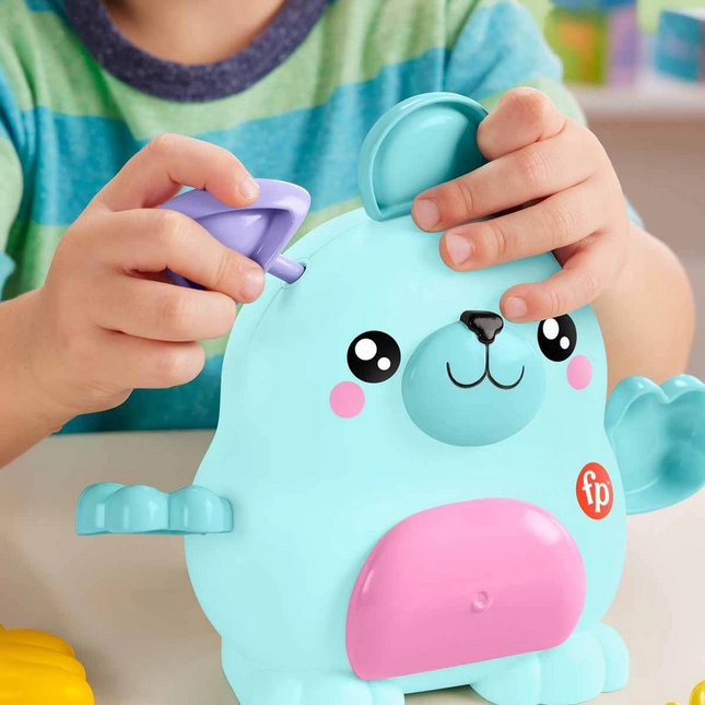 Fisher Price Karıştır ve Eşleştir Evcil Hayvanlar HXP18