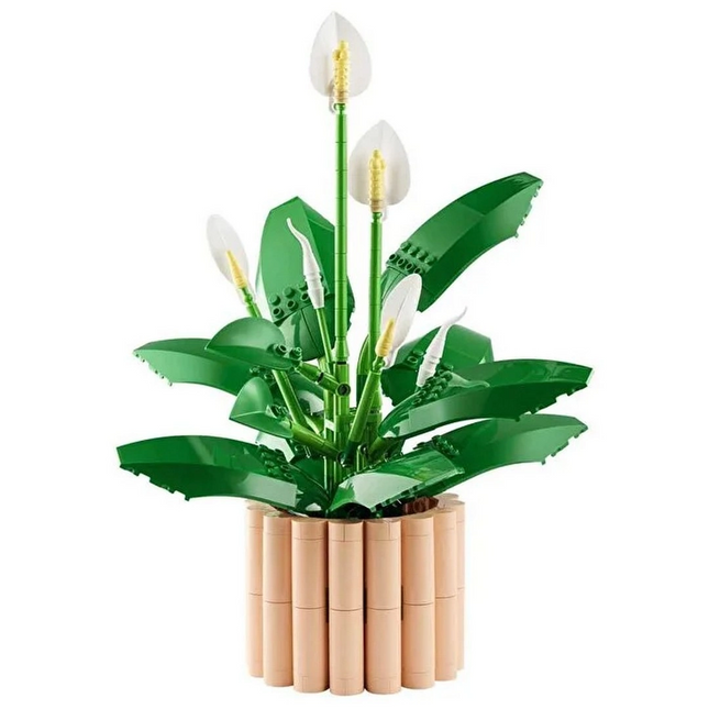 LEGO Botanicals Barış Çiçeği 11504