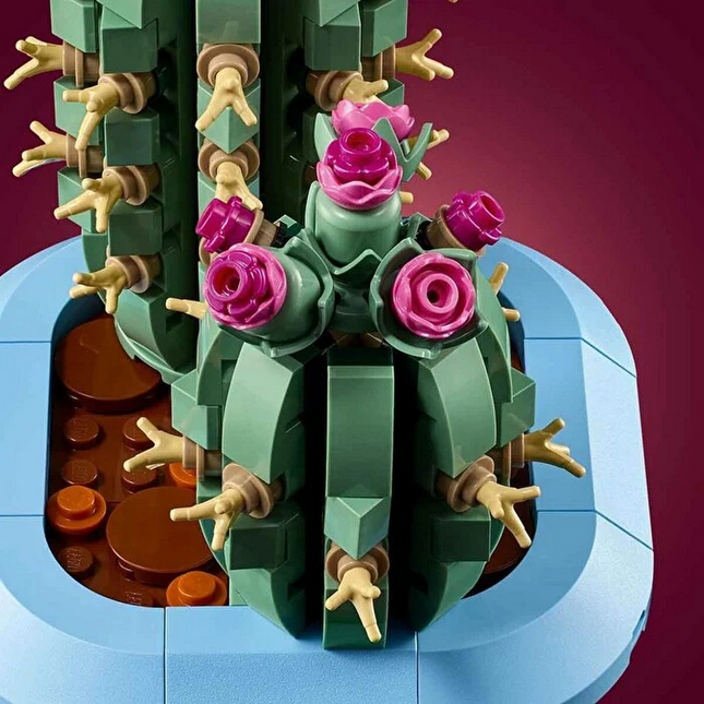 LEGO Botanicals Çiçekli Kaktüs 11509