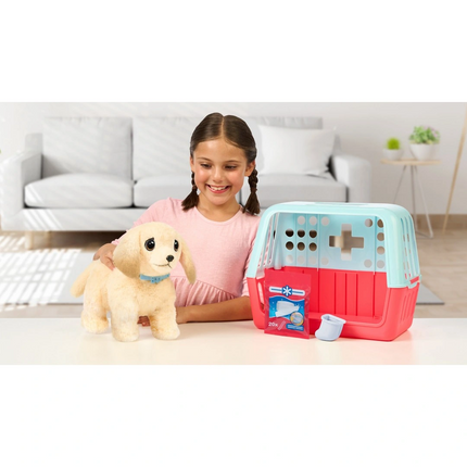 LLP Yavru Köpek İyileşir