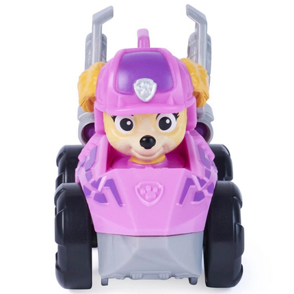 PAW Patrol The Dino Movie Pup Squad Yarışçıları